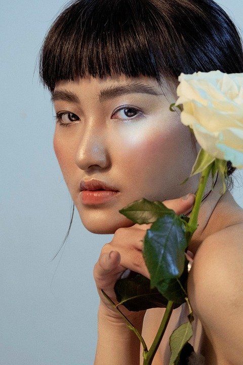 asian-6067473_960_720